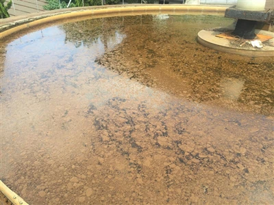 अपशिष्ट जल उपचार के एरोबिक टैंकों में तैरता कीचड़