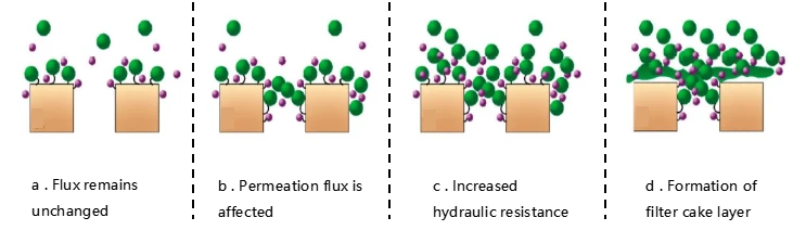 news-743-224 news-743-224